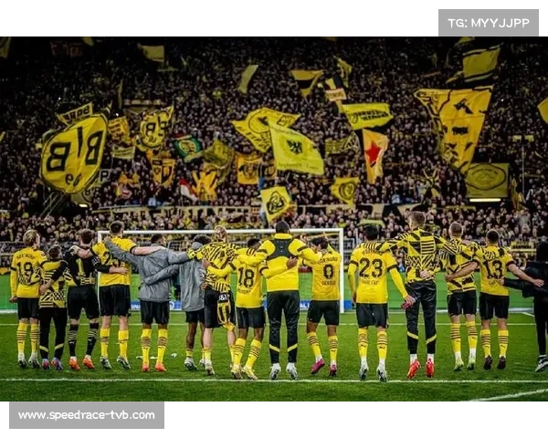 欧冠赛场花絮:多特蒙德主场南看台再现巨型TIFO,致敬俱乐部传奇